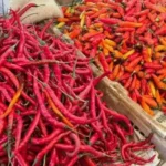PIHPS : Cabai Rawit Merah Melonjak, Beras Kualitas Bawah Tetap Terjangkau