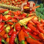 Jelang Nyepi dan Lebaran, Harga cabai Rawit di Bali Tembus Rp130 Ribu