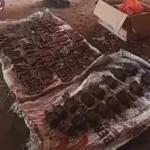 Pengungsi Gunung Lewotobi Temukan Belasan Granat Aktif