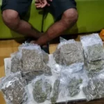 Petugas Bandara Sentani Tangkap Calon Penumpang Bawa Ganja