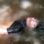 Tahanan Kabur Ditemukan Tewas di Sungai Lombok Timur