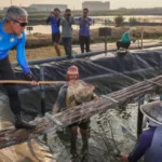 Pemprov Jateng Hasilkan 3,1 Ton Udang Vaname di Kawasan Industri