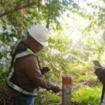 Kemenhut Siapkan Langkah Hukum Terkait Aktivitas Tambang di Raja Ampat