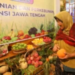 Produk Pangan Murah di Jateng Fair 2025 Banjir Pengunjung