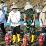 Tanam Jagung Bareng Kapolri, Ahmad Luthfi All Out Dukung Swasembada Pangan