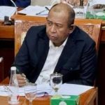 Anggota DPR: Fenomena Bendera “One Piece” Jangan Kaburkan Nilai Kebangsaan