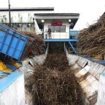 Danantara Siapkan Rp1,5 Triliun Beli Gula Petani yang Menumpuk di Gudang