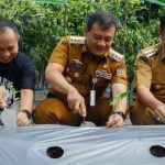 Pastikan Pasokan Cabai Aman, Inilah Upaya Pemprov Jateng dalam Membantu Petani