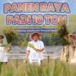 Pacu Produktivitas Hasil Panen, Pemprov Jateng Dukung Penuh Lomba Panen Padi 10 Ton per Hektare