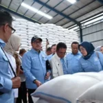 Komisi IV DPR: Stok Beras Aman Jelang Ramadhan, Waspadai Anomali Cuaca