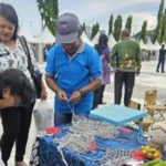 Kemendagri Siapkan Basis Data OAP untuk Kebijakan Kesejahteraan Papua