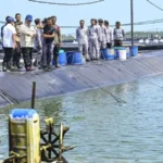 Prabowo Tinjau Panen Raya Udang di Kebumen