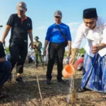 Tumbuhkan Kesadaran Ekologis, Taj Yasin Ajak Ratusan Santri Tanam Mangrove di Rembang