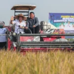 Produksi Padi Jateng Tembus 6,69 Juta Ton, Ahmad Luthfi Siapkan Strategi Hadapi Kemarau