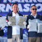Bea Cukai dan BNN Gagalkan Penyelundupan 3,37 Ton Narkotika, Ungkap Jaringan Internasional