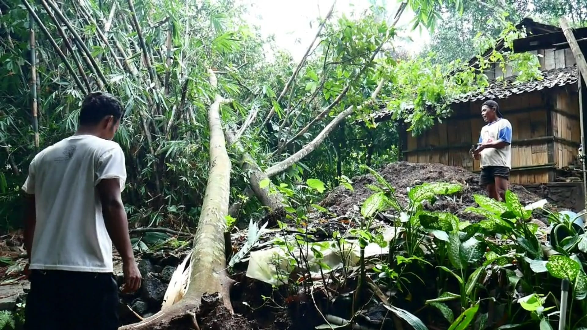 Diterjang Angin Puting Beliung, Belasan Rumah di Kabupaten Semarang Rusak