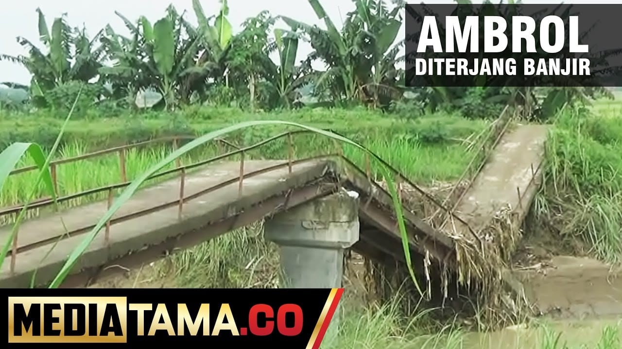 VIDEO: Diterjang Banjir, Jembatan Penghubung Dua Desa di Demak Ambrol