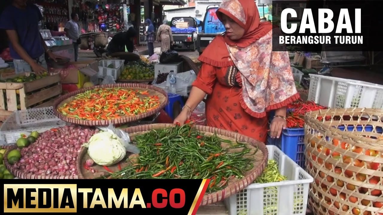 VIDEO : Harga Cabai di Kabupaten Semarang Berangsur Turun