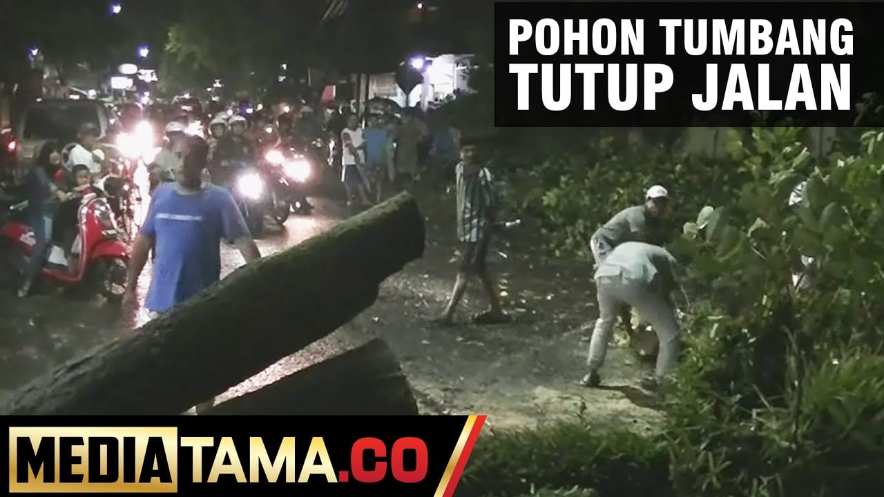 VIDEO: Pohon Tumbang Tutup Jalan Menoreh Semarang