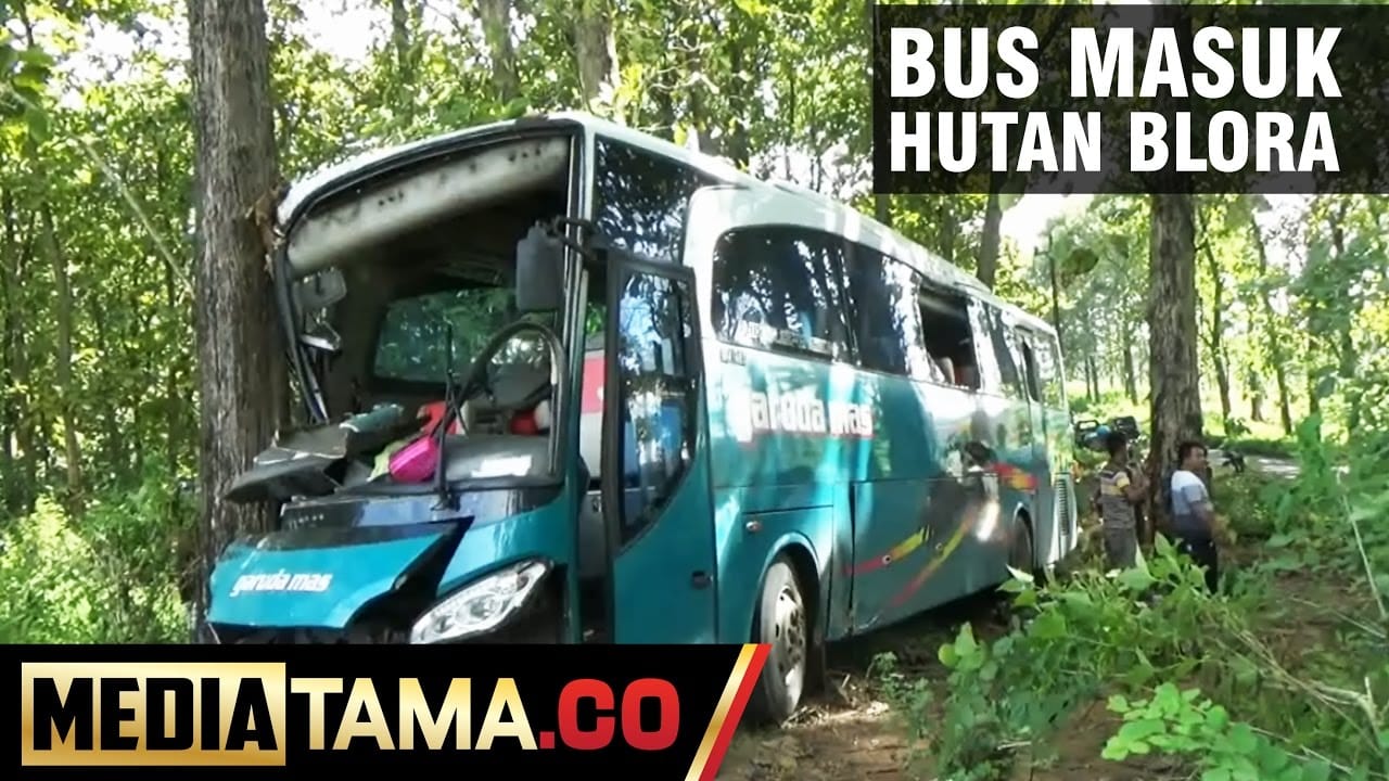 VIDEO: Bus Garuda Mas Masuk Hutan Jati Blora, Sopir Luka Parah