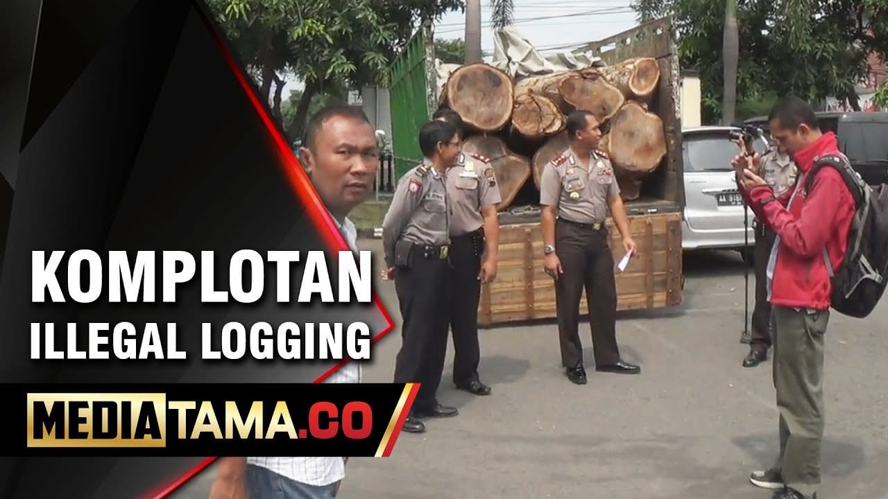 VIDEO: Polres Semarang Tangkap Komplotan Ilegal Logging