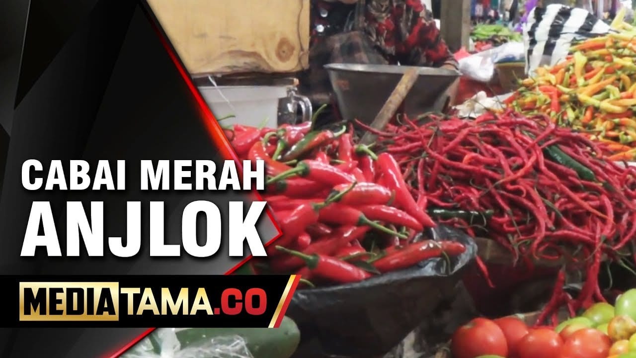VIDEO: Stok Melimpah, Harga Cabai Merah di Kab. Semarang Anjlok