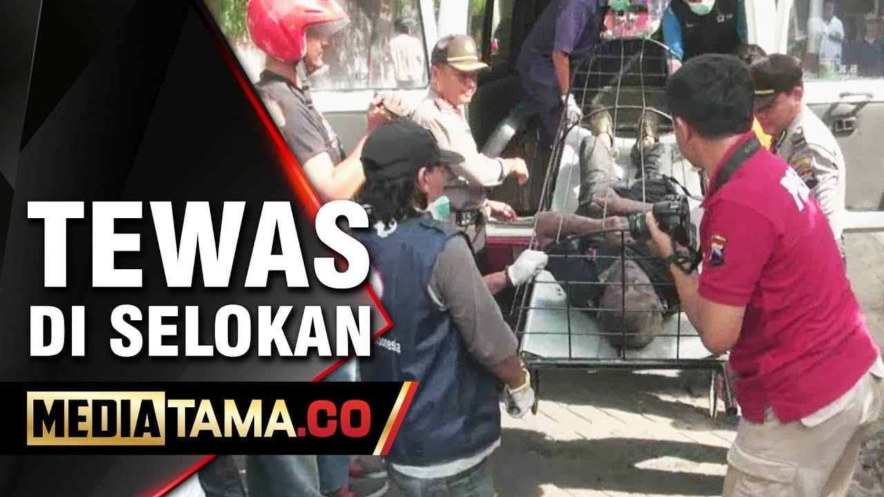 VIDEO: Seorang Pria di Semarang Ditemukan Tewas di Dalam Selokan