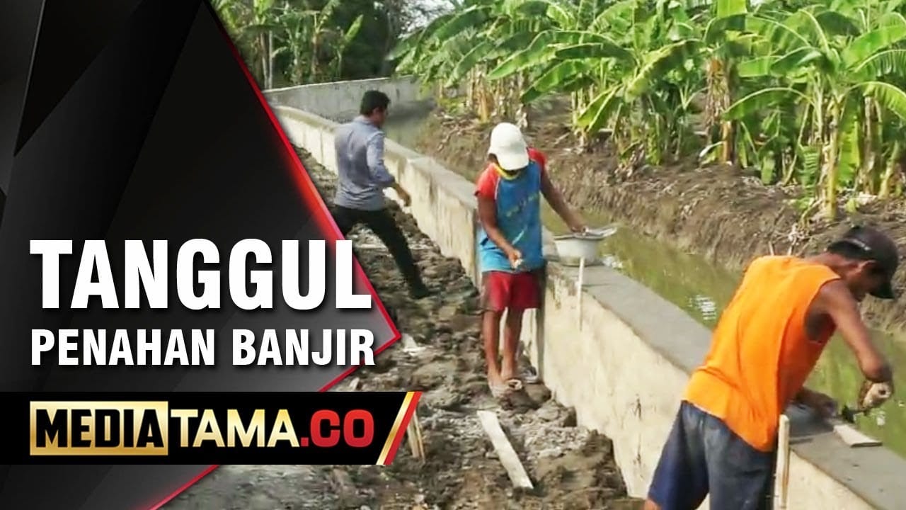 VIDEO: Desa Sayung Percepat Pembangunan Tanggul Penahan Banjir