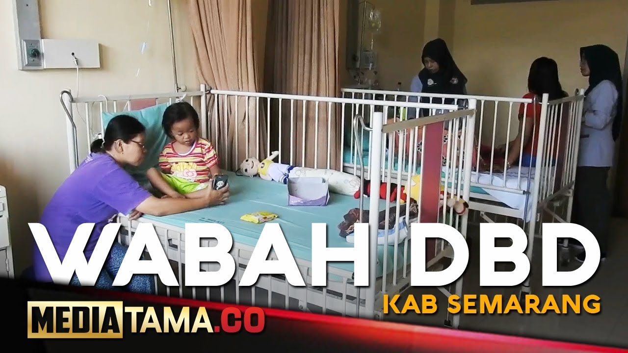 VIDEO: Dua Orang Meninggal Akibat DBD di Kabupaten Semarang