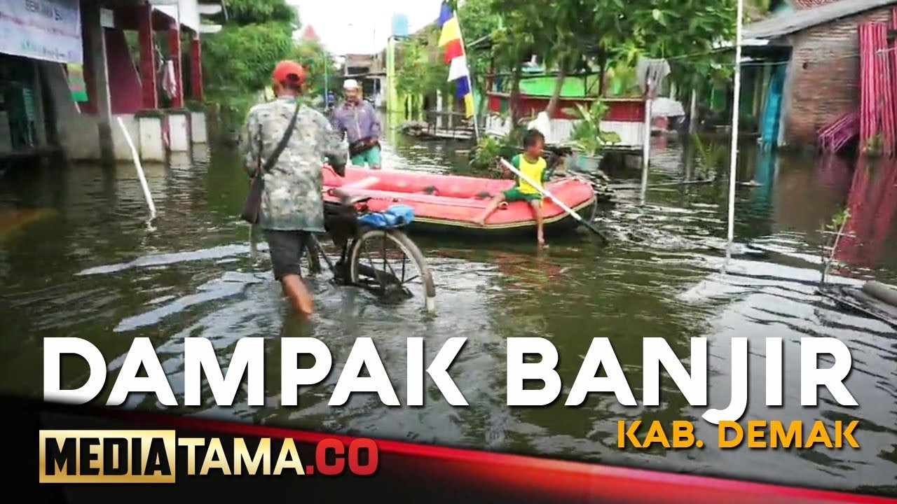 VIDEO: Dilanda Banjir, Aktivitas Warga Demak Terganggu