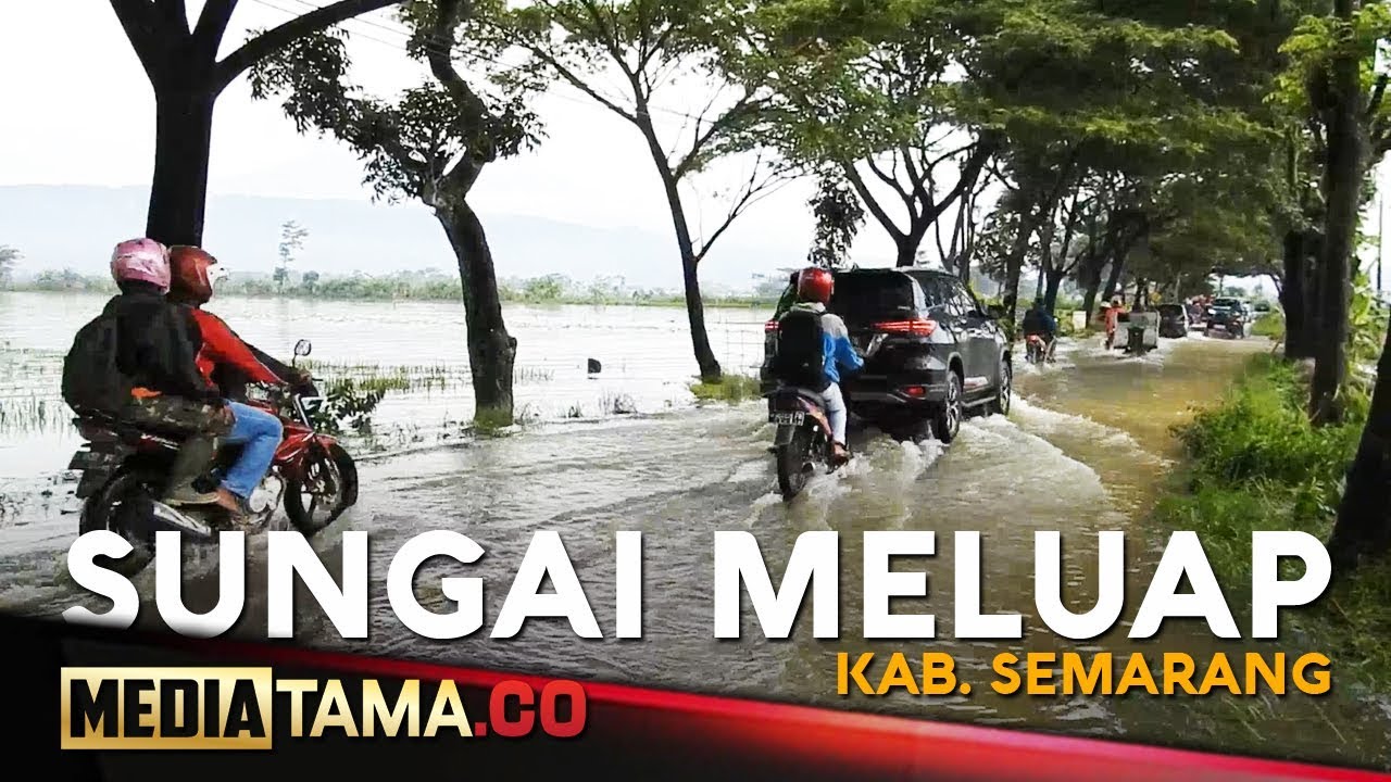 VIDEO: Sungai Meluap, Jalan dan Ratusan Hektar Sawah di Kab. Semarang Terendam