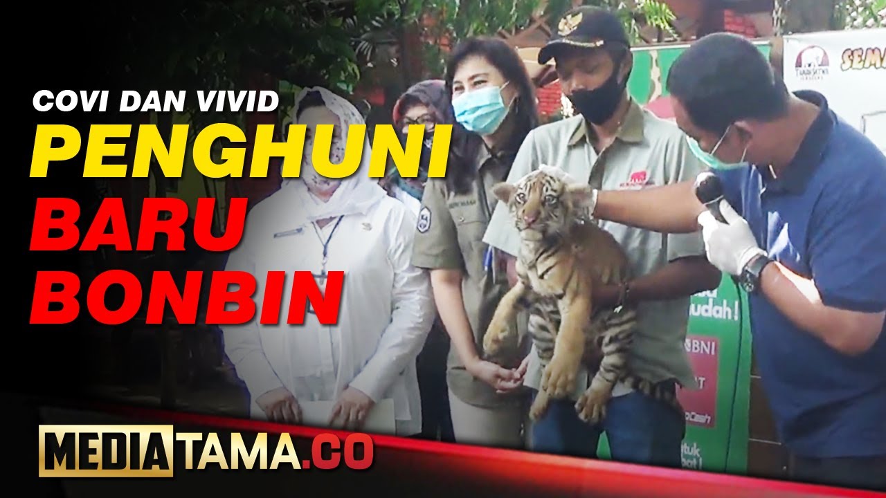 VIDEO : COVI DAN VIVID, PENGHUNI BARU BONBIN SEMARANG